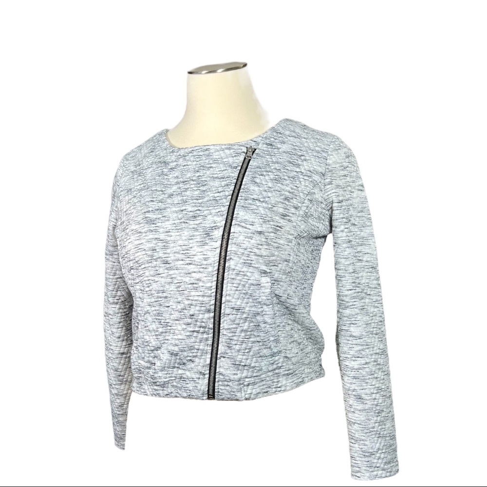 C Apparel Grey Quilted Scoop Neck Jacket Sz XL